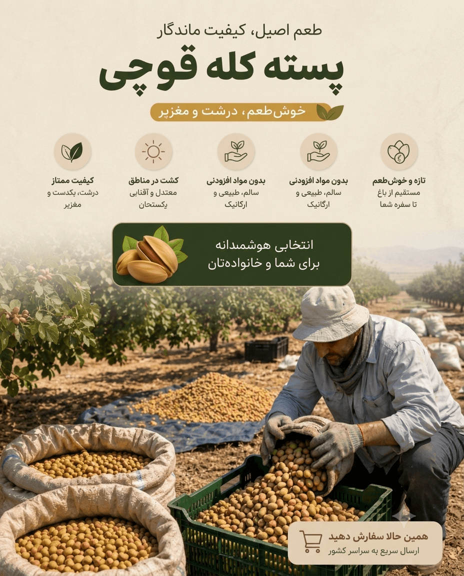 اسلاید